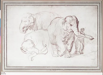 Drie olifanten. Potloodtekening (tekening)
