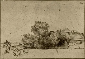 Boerderij in Amsteldijk