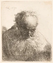 Buste van een oude man met golvende baard: het hoofd voorovergebogen: linkerschouder onbeschaduwd