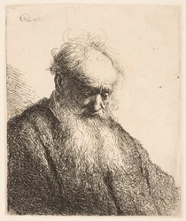 Buste van een oude man met een golvende baard: het hoofd is driekwart naar rechts gekanteld