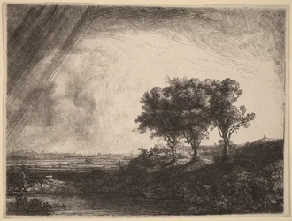De drie bomen