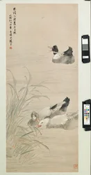 Eenden, 1885