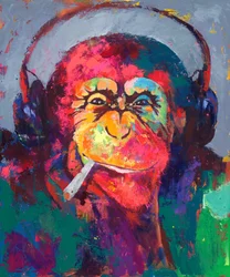 Kleurrijke Monkey-hoofdtelefoon