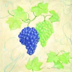 Verse blauwgroene druiven