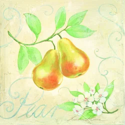 Peren en bloesems