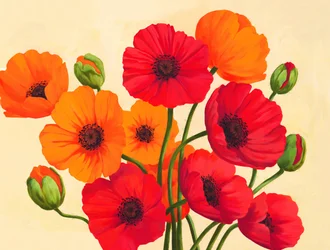 Rood-oranje klaprozen