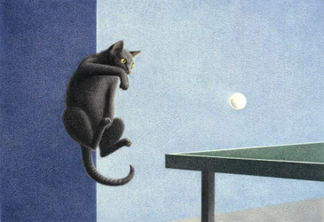Pingpong