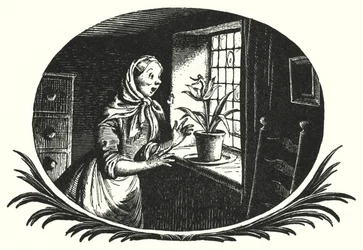 Hans Christian Andersen: Duimelijntje