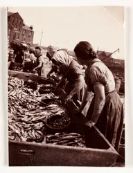 Vissen, vissersvrouwen sorteren vis, Whitby Harbour, North Yorkshire, ca. 1905
