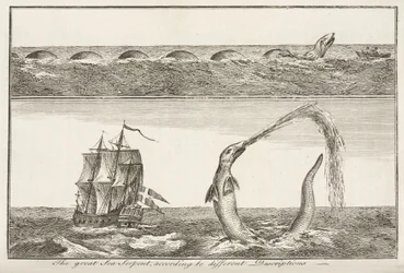 De grote zeeslang, volgens verschillende beschrijvingen