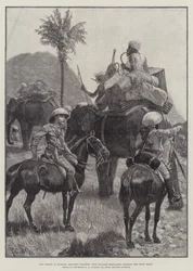 Onze Troepen in Birma, Bereden Infanterie met Bagageolifanten die de Shan Heuvels oversteken