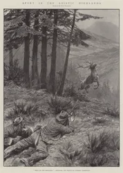 Sport in de Aziatische Hooglanden