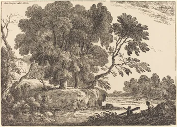Landschap met Groep Bomen Omringd door Water