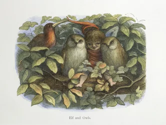 Elf en uilen