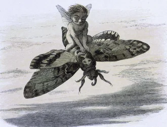 Een elf die op een vlinder rijdt. Illustratie van Richard Doyle uit "In Fairy land. Een serie afbeeldingen uit de elf-wereld" vergezeld van een gedicht van W Allingham. 1869-1870. The British Library Institution Reference: Shelfmark ID: 1876 e18 