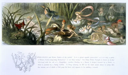Waterlelies en waterfeeën, illustratie uit 
