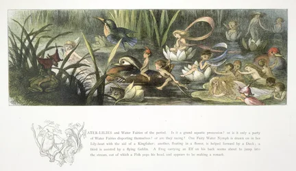 Waterlelies en waterfeeën
