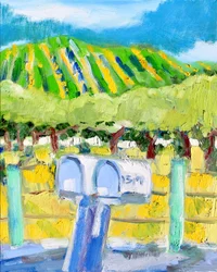 Brievenbussen en wijngaard, Napa, 2019