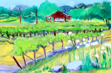 Wijngaard op Zinfandel Lane, Napa, 2019