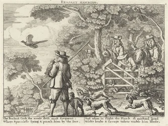 Valkenjacht op fazanten