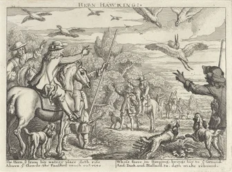 Valkenjacht op reigers en eenden