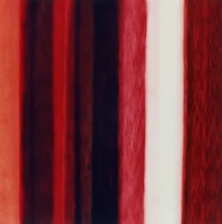 Streep XII, 2005