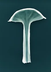 Zonder titel