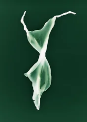 Zonder titel