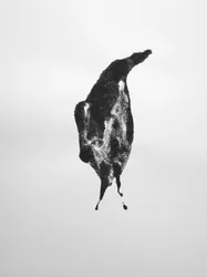 Zonder titel, 2009 (monotype)
