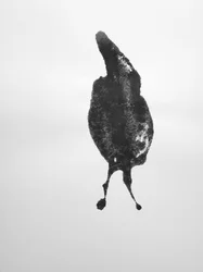 Zonder titel, 2009 (monotype)