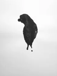Zonder titel, 2009 (monotype)
