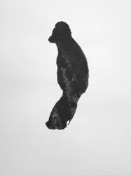 Zonder titel, 2009 (monotype)