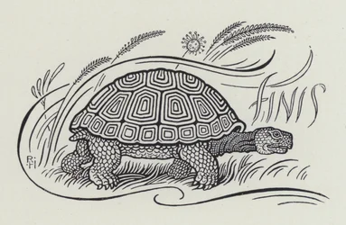 De Haas en de Schildpad (gravure)