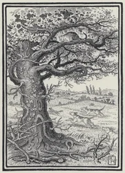 De vos en de kat (gravure)