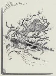 De Man en de Dood (gravure)