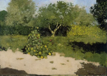 Hoek van een tuin met Oost-Indische kers