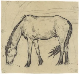 Grazend paard te Noordwijk