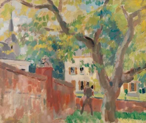 De oude walnotenboom B