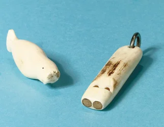 Model van een walrus en een fluit