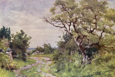 Veldpad, nabij Llanrug