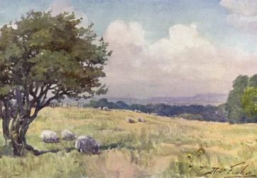 Zonnig veld, nabij Llanberis (kleur litho)