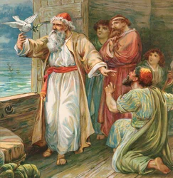 Noach en de duif