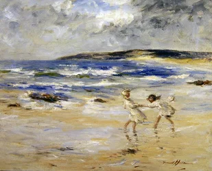 Kusten van Macadinish