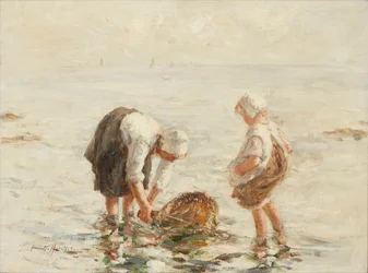 Garnalen vangen