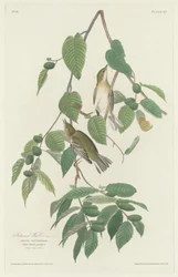 Herfstzanger, 1830
