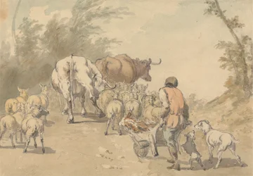Kudde schapen en koeien