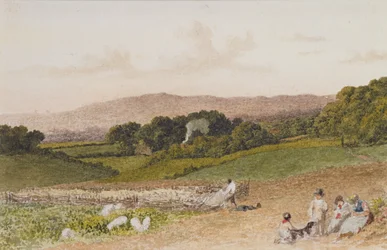 Het Koolveld