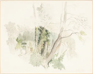 Bomen in Beddington