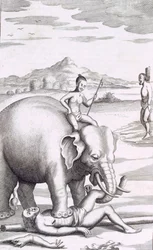 Een executie door een olifant