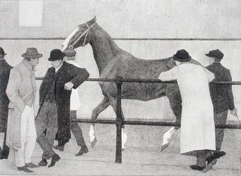 Paardenhandelaren (Ward